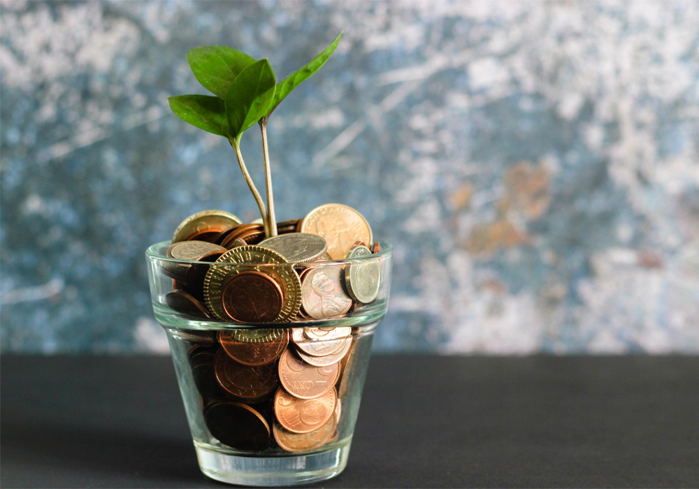 Coins in a cup with a plant sprouting out. 